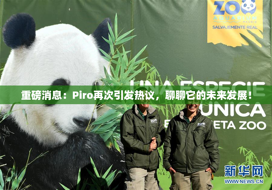 重磅消息：Piro再次引发热议，聊聊它的未来发展！