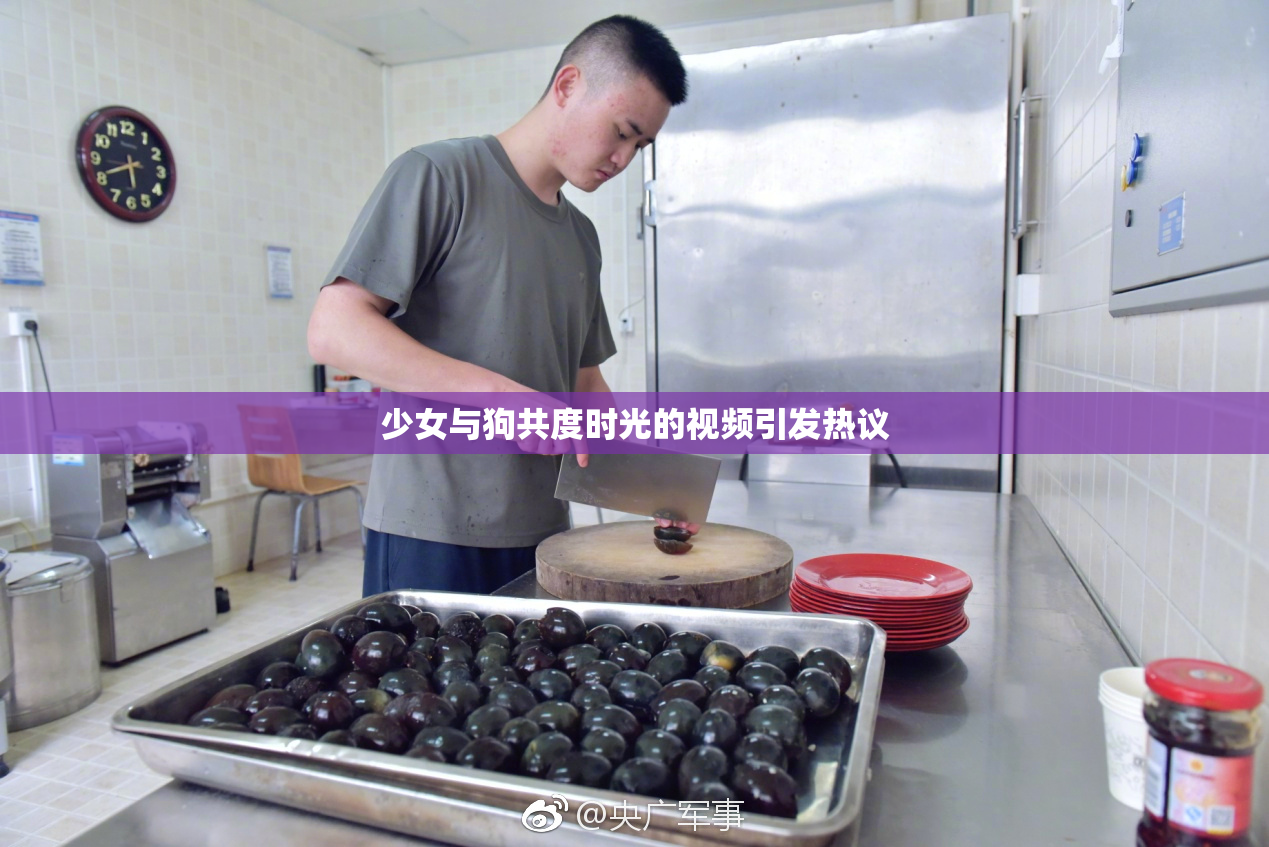 少女与狗共度时光的视频引发热议