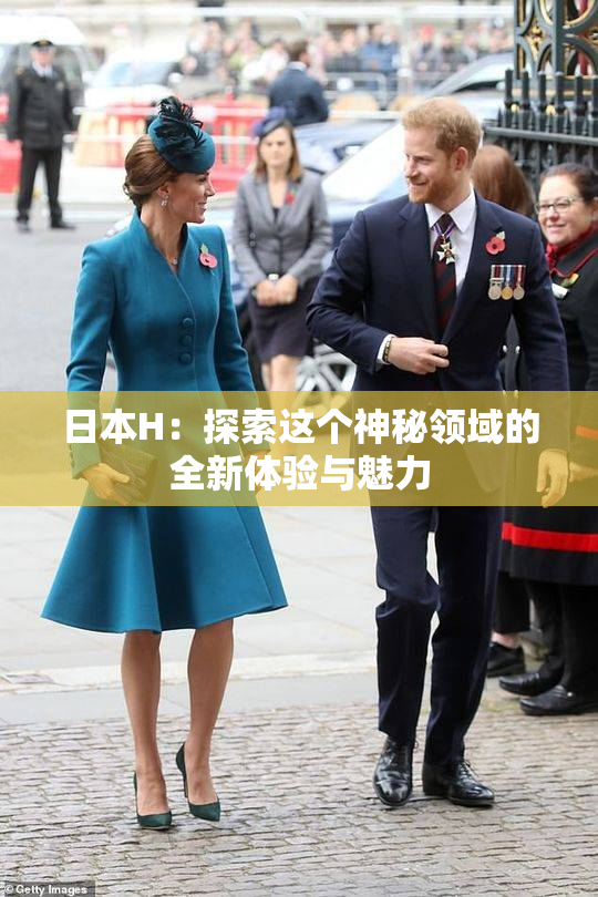 日本H：探索这个神秘领域的全新体验与魅力