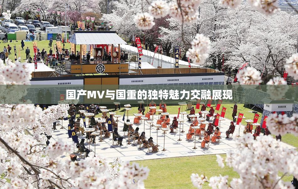 国产MV与国重的独特魅力交融展现