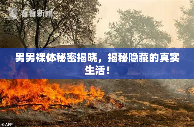男男裸体秘密揭晓，揭秘隐藏的真实生活！
