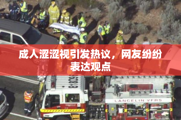 成人涩涩视引发热议，网友纷纷表达观点