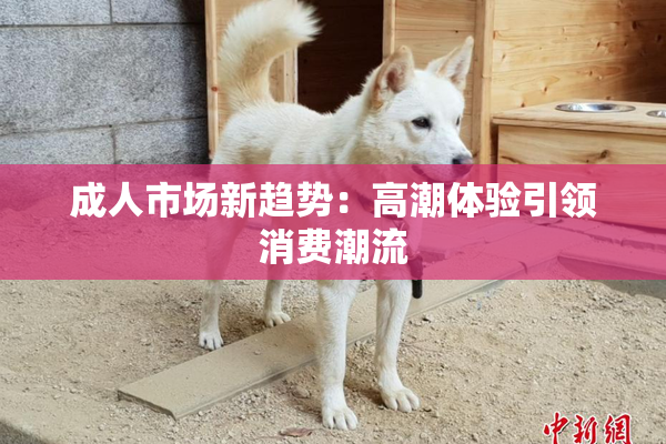 成人市场新趋势：高潮体验引领消费潮流