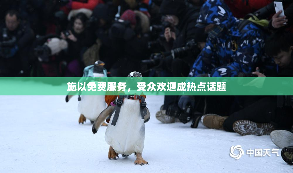 施以免费服务，受众欢迎成热点话题