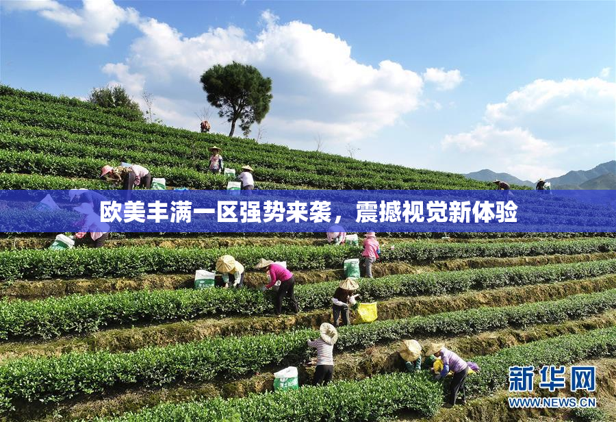 欧美丰满一区强势来袭，震撼视觉新体验