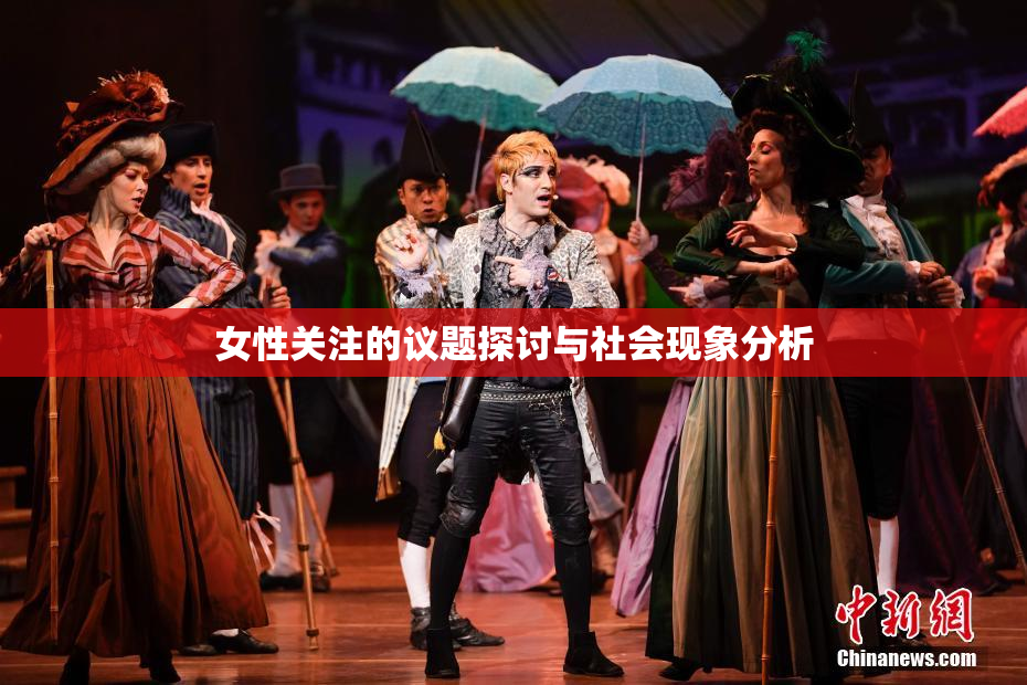 女性关注的议题探讨与社会现象分析