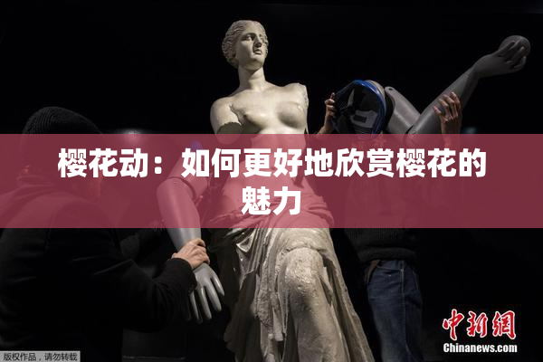 樱花动：如何更好地欣赏樱花的魅力
