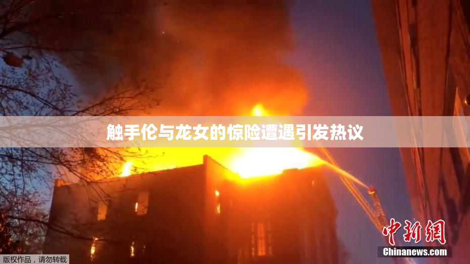 触手伦与龙女的惊险遭遇引发热议