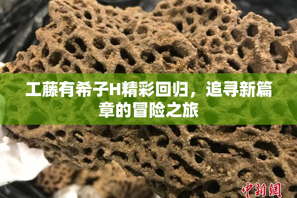 工藤有希子H精彩回归，追寻新篇章的冒险之旅