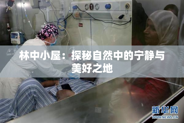 林中小屋：探秘自然中的宁静与美好之地