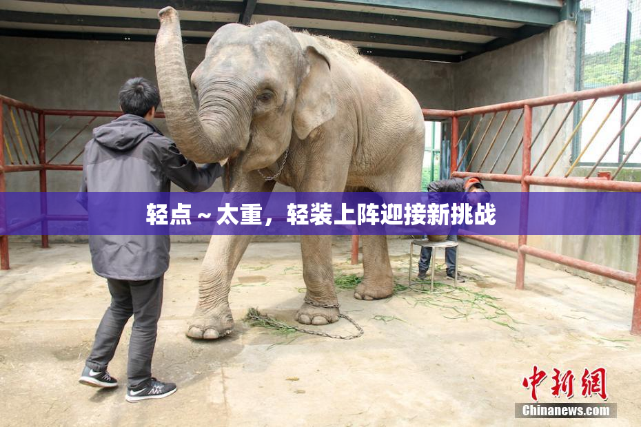 轻点～太重，轻装上阵迎接新挑战