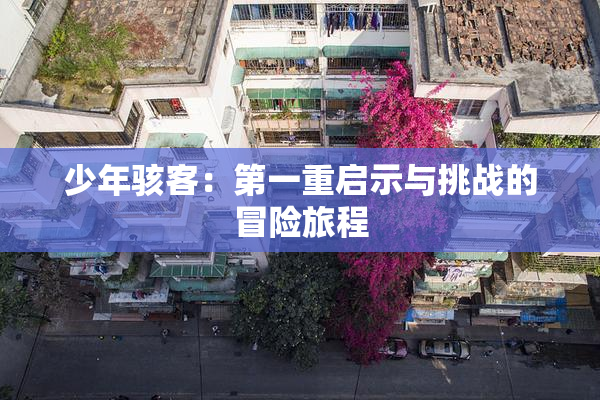 少年骇客：第一重启示与挑战的冒险旅程