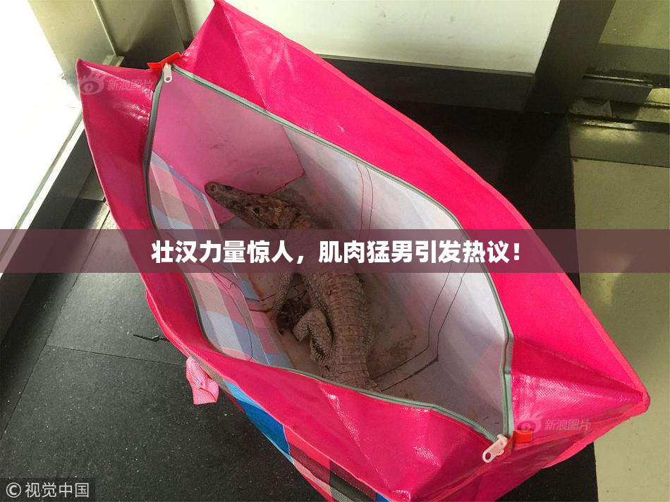 壮汉力量惊人，肌肉猛男引发热议！
