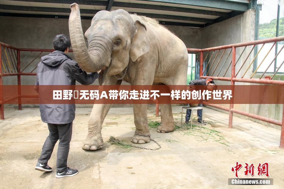 田野憂无码A带你走进不一样的创作世界