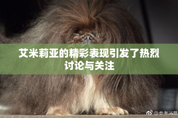 艾米莉亚的精彩表现引发了热烈讨论与关注