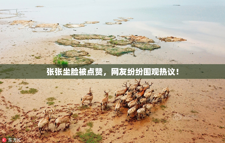 张张坐脸被点赞，网友纷纷围观热议！