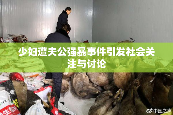 少妇遭夫公强暴事件引发社会关注与讨论