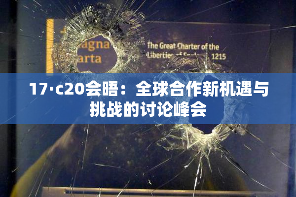 17·c20会晤：全球合作新机遇与挑战的讨论峰会