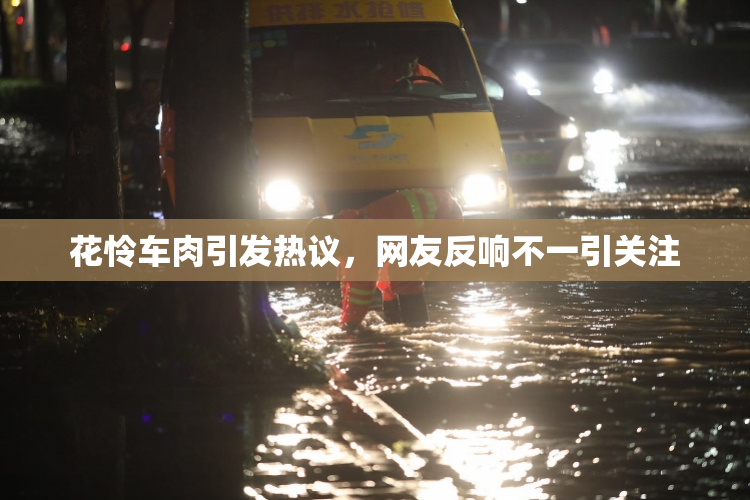 花怜车肉引发热议，网友反响不一引关注