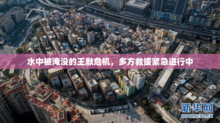 水中被淹没的王默危机，多方救援紧急进行中