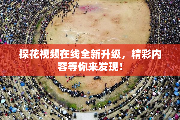 探花视频在线全新升级，精彩内容等你来发现！