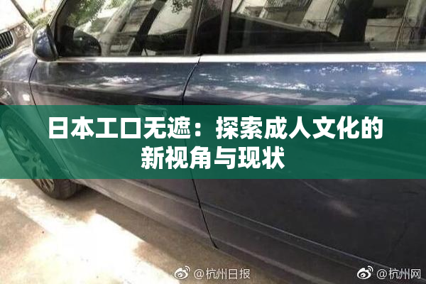 日本工口无遮：探索成人文化的新视角与现状