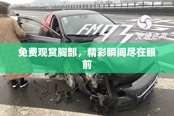 免费观赏胸部，精彩瞬间尽在眼前