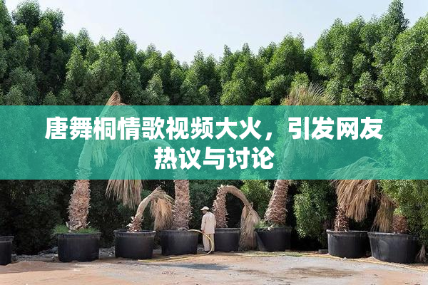 唐舞桐情歌视频大火，引发网友热议与讨论