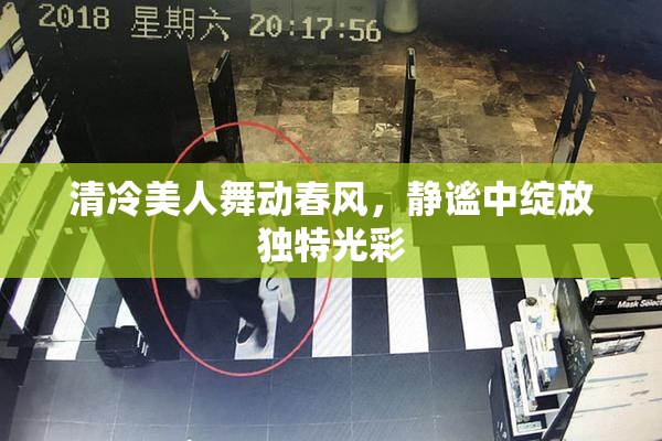 清冷美人舞动春风，静谧中绽放独特光彩