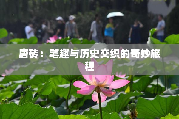 唐砖：笔趣与历史交织的奇妙旅程