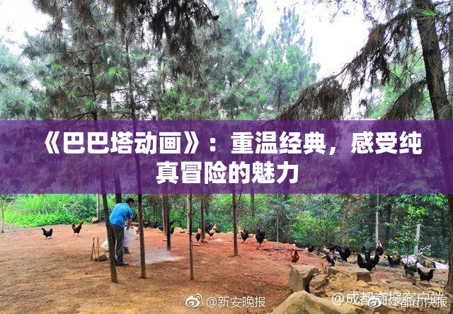 《巴巴塔动画》：重温经典，感受纯真冒险的魅力