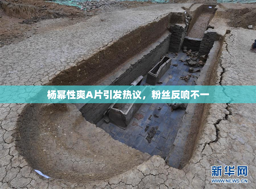 杨幂性爽A片引发热议，粉丝反响不一