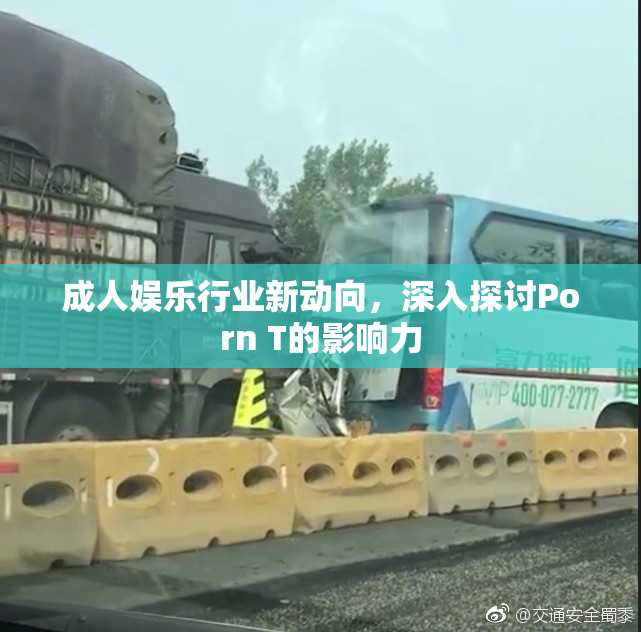 成人娱乐行业新动向，深入探讨Porn T的影响力