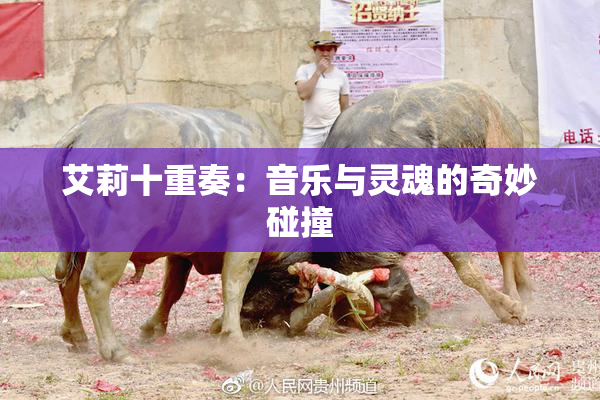 艾莉十重奏：音乐与灵魂的奇妙碰撞