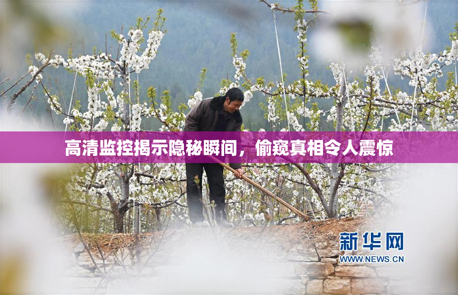 高清监控揭示隐秘瞬间，偷窥真相令人震惊