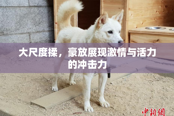 大尺度揉，豪放展现激情与活力的冲击力