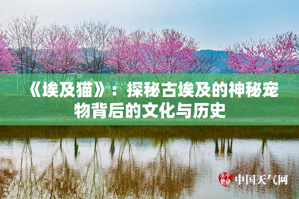《埃及猫》：探秘古埃及的神秘宠物背后的文化与历史