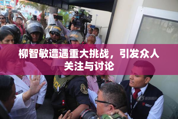 柳智敏遭遇重大挑战，引发众人关注与讨论