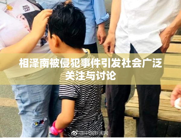相泽南被侵犯事件引发社会广泛关注与讨论