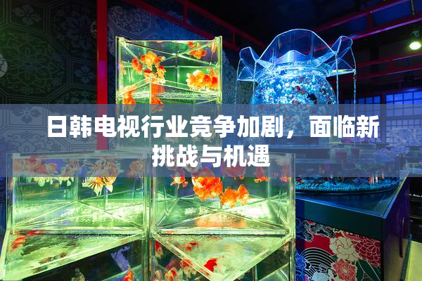 日韩电视行业竞争加剧，面临新挑战与机遇