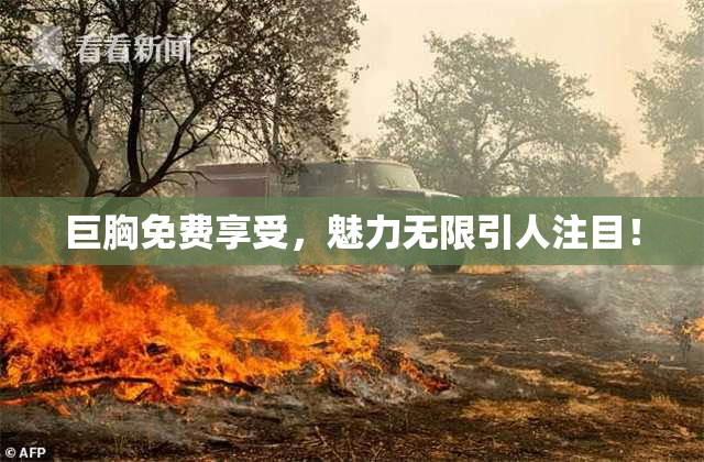 巨胸免费享受，魅力无限引人注目！