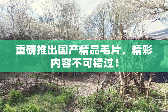 重磅推出国产精品毛片，精彩内容不可错过！