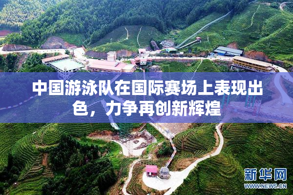 中国游泳队在国际赛场上表现出色，力争再创新辉煌
