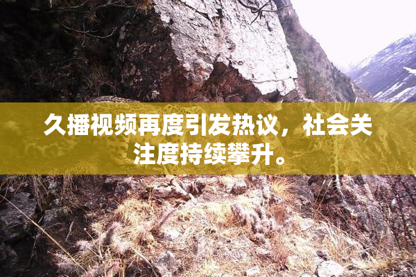 久播视频再度引发热议，社会关注度持续攀升。