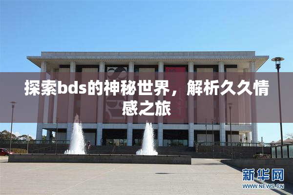 探索bds的神秘世界，解析久久情感之旅