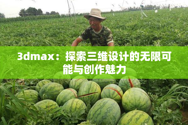 3dmax：探索三维设计的无限可能与创作魅力