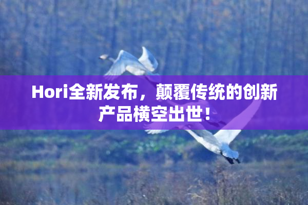 Hori全新发布，颠覆传统的创新产品横空出世！