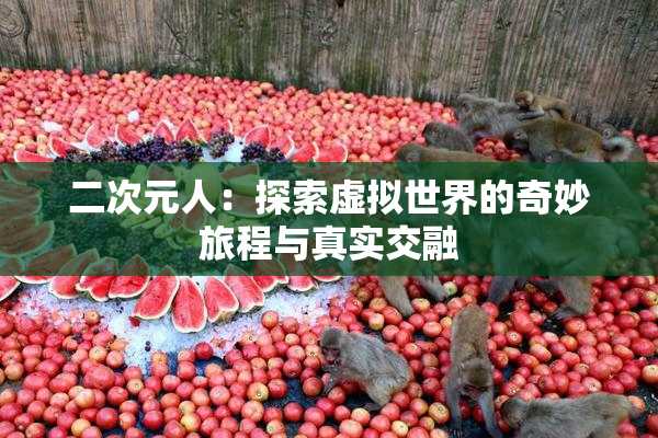 二次元人：探索虚拟世界的奇妙旅程与真实交融