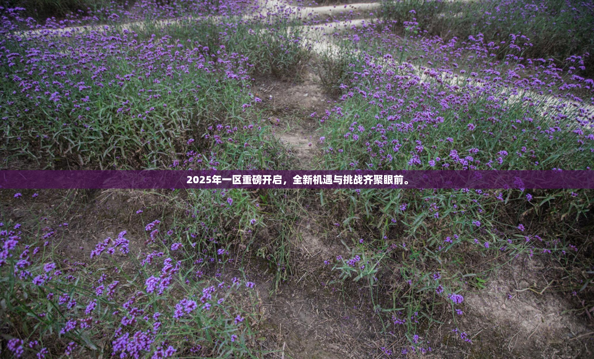 2025年一区重磅开启，全新机遇与挑战齐聚眼前。