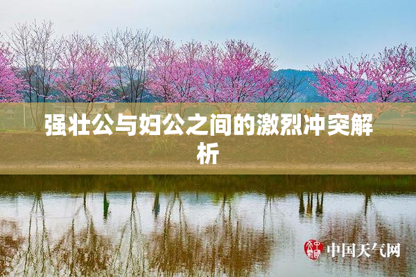 强壮公与妇公之间的激烈冲突解析